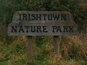 Irishtown nature park