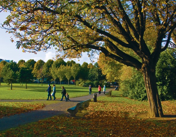 Herbert Park, Autumn