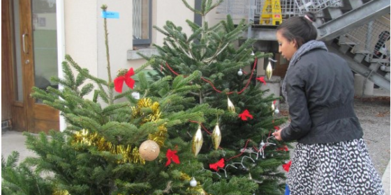 Christmas Tree Sale at YMCA Sandymount