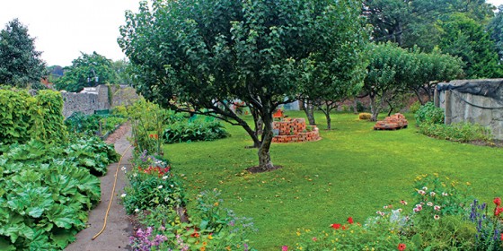 The Heritage Garden