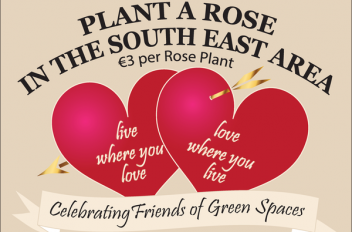 Plant a Rose with Friends of Green Spaces