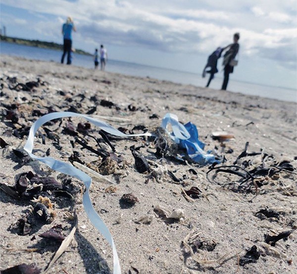 Image supplied by Sandymount Beach Cleanup.