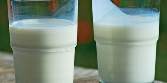 The Great Milk Debate - Natural Resource or Industrial Product?