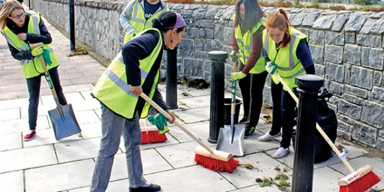Trojan Work for Tidy Towns