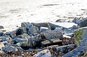 Sandymount Strand cleanup