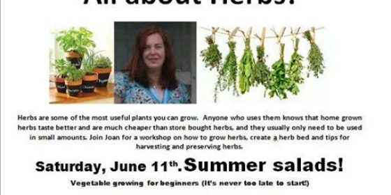 Bloom Gold Medalist hosting workshop on Herbs