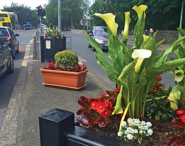 Pictured: Plant boxes in Donnybrook Village 