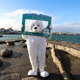 Polar Plunge comes back to Sandycove