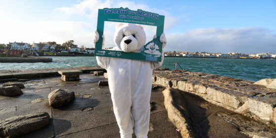Polar Plunge comes back to Sandycove