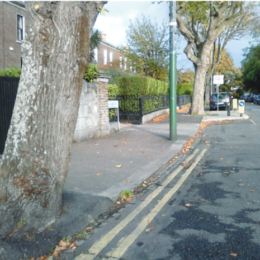 Five Special Trees - Sandymount’s Living Link with Joyce’s Ulysses