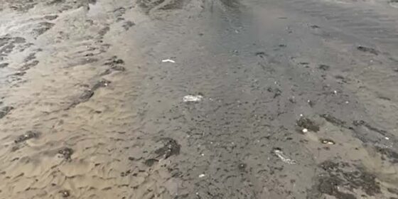 Sewage Discharge onto Sandymount Beach Unacceptable