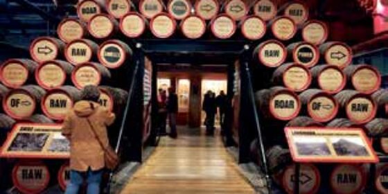 A Visit to Guinness Storehouse