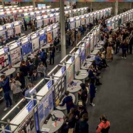 Students shine at this year’s Young Scientist Expo